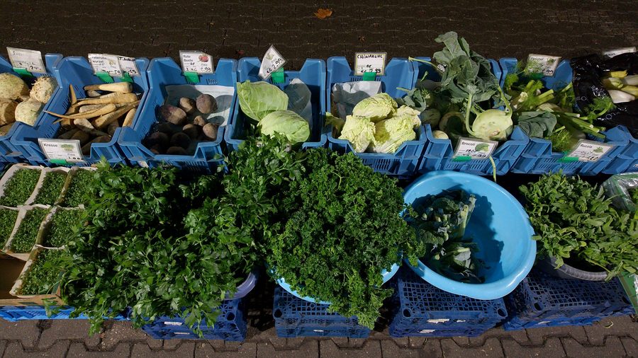Petersilie, Minze und frische Kräuter in blauen Kisten